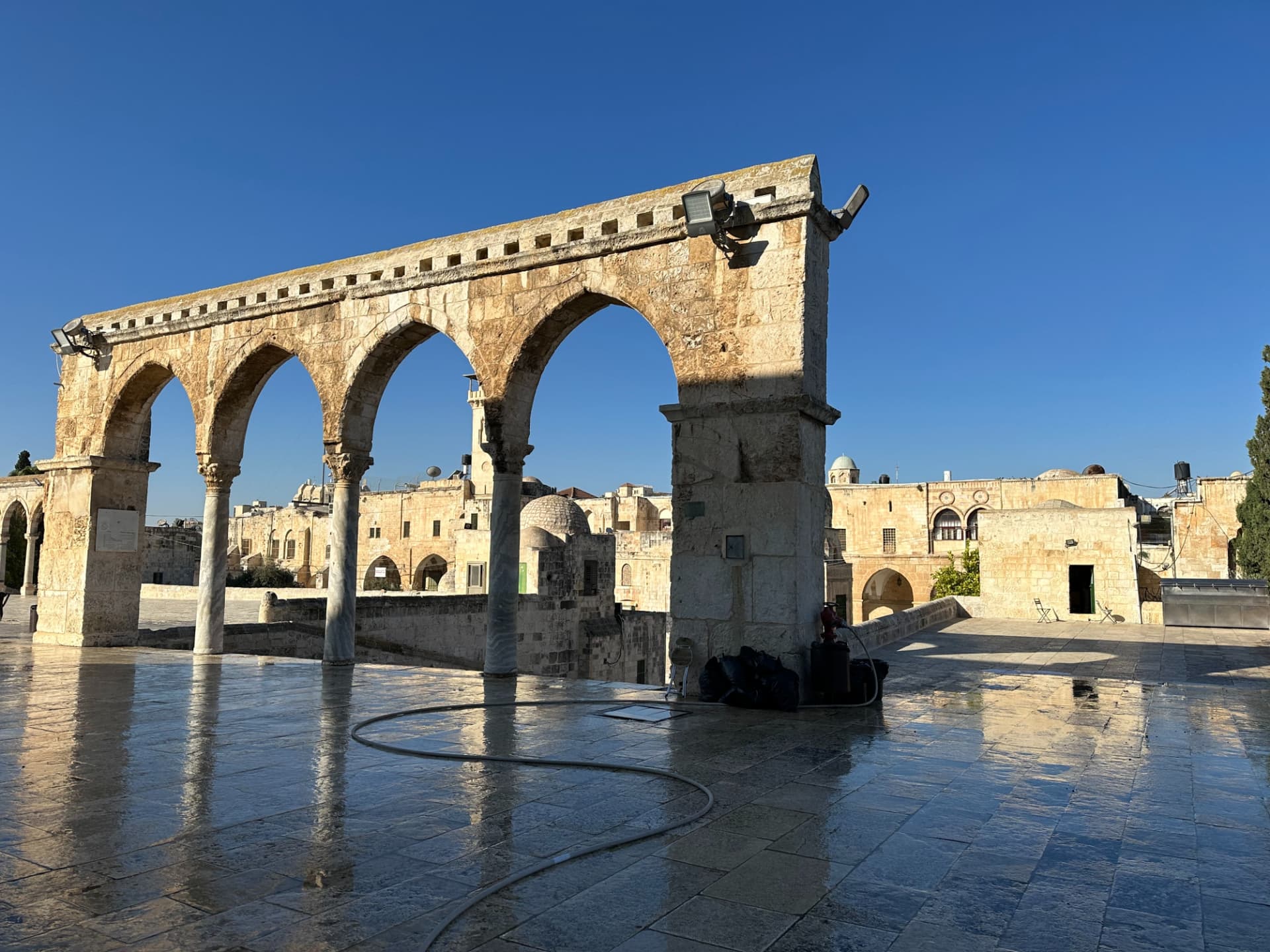 Flash z Palestyny, 12.2.2026